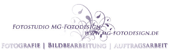 Fotostudio MG-Fotodesign in Brunsbüttel - Logo