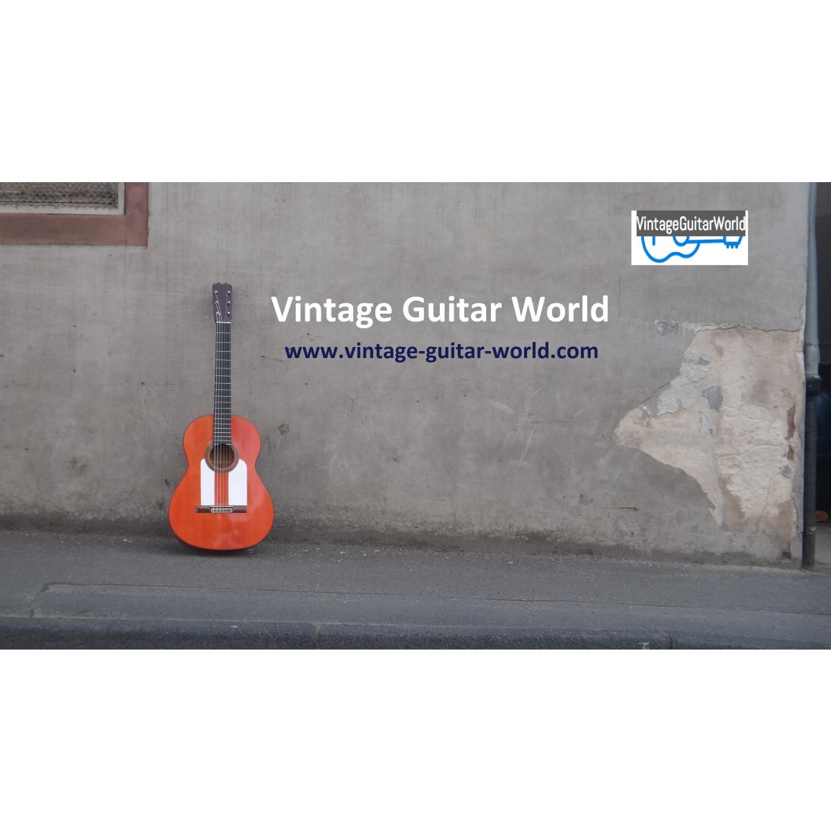 Vintage Guitar World in Michelstadt - Logo