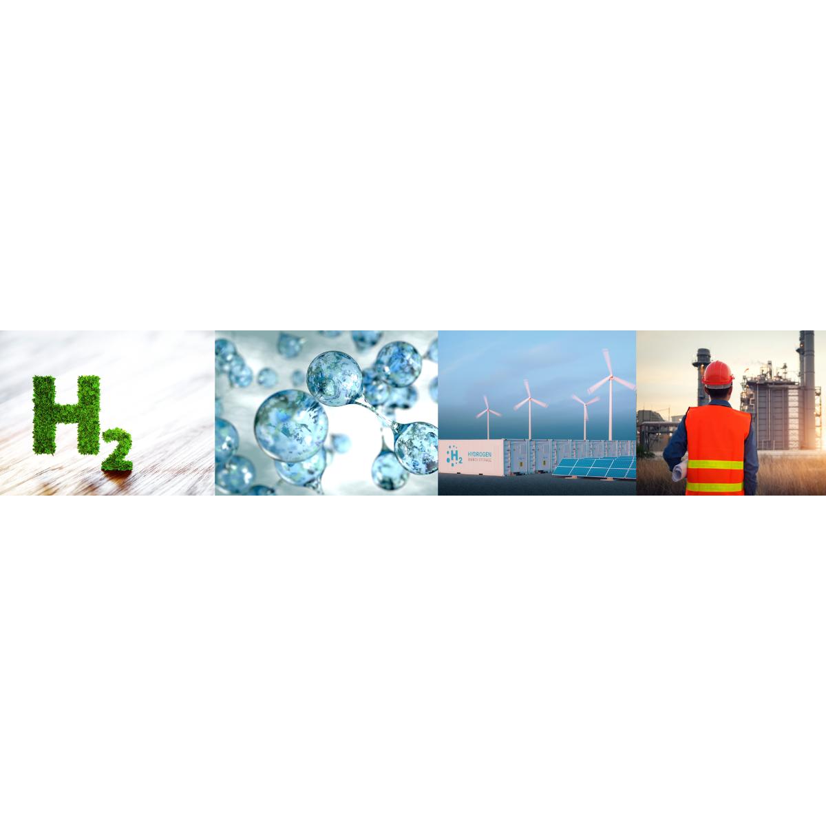 smart hydrogen solutions GmbH in München - Logo