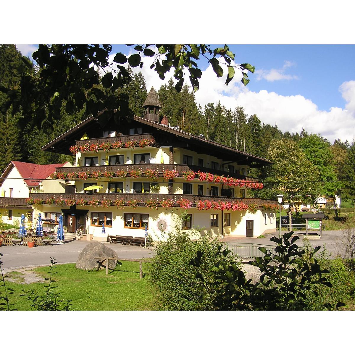 Gasthof Mühle / Natur- & Wanderhotel in Rinchnach - Logo