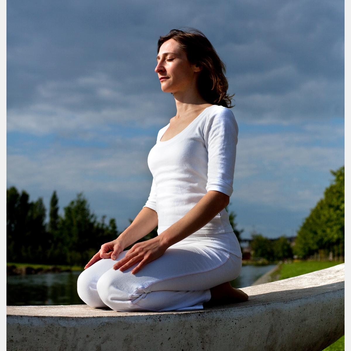 flow-in-yoga Anna Braun in Heppenheim an der Bergstrasse - Logo