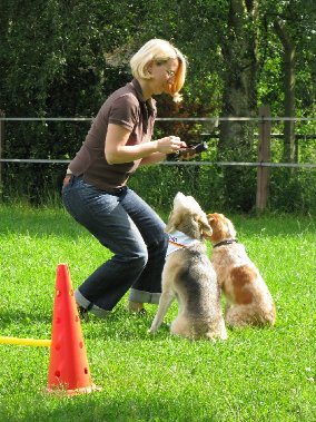 1a Academy for dogs Mobile Hundeschule Meters in Ebergötzen - Logo