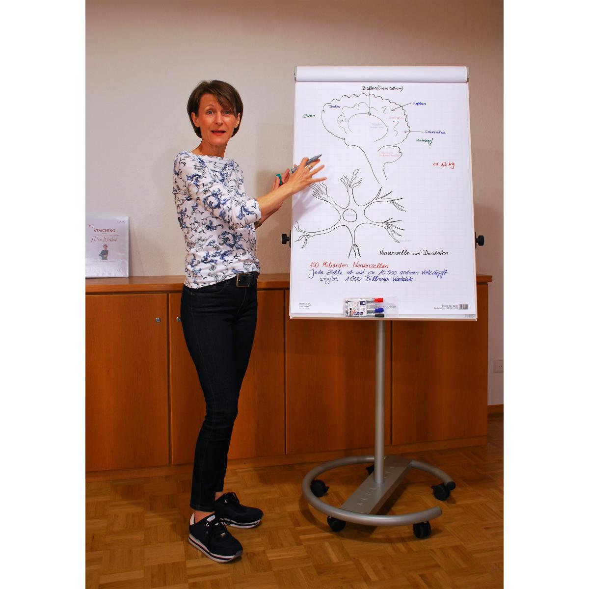 Snjezana Bacher - Beratung Coaching Mentoring in Weil der Stadt - Logo