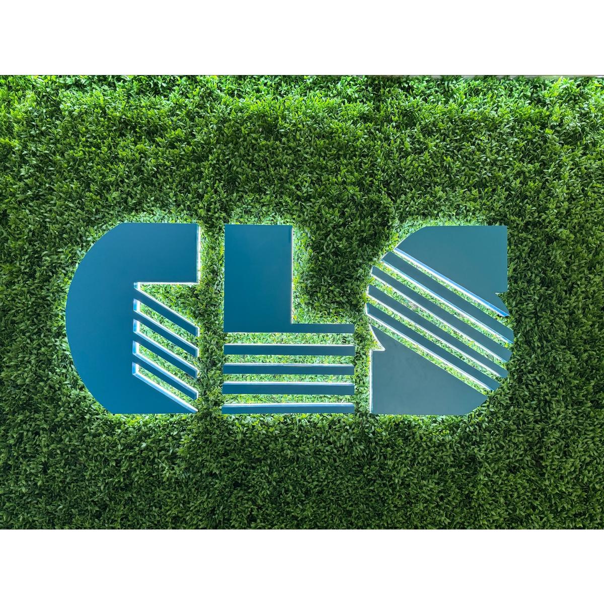 CLS Computer in Mannheim - Logo