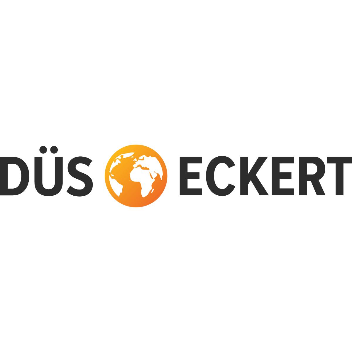 DÜS Eckert Spracheninstitut GmbH in Düsseldorf - Logo