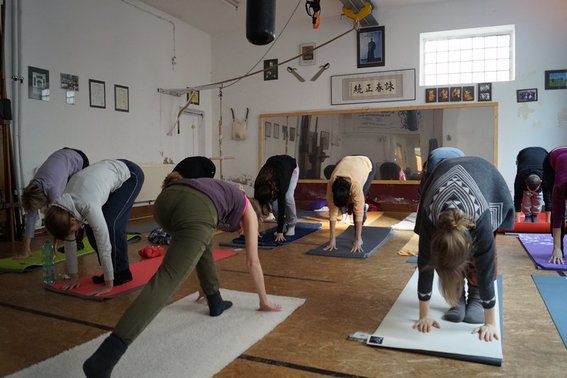 Die Yoga Werkstatt Mannheim in Mannheim - Logo