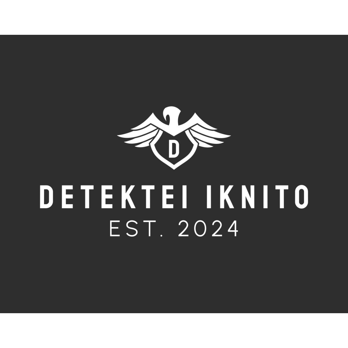 Detektei iknito in Mannheim - Logo