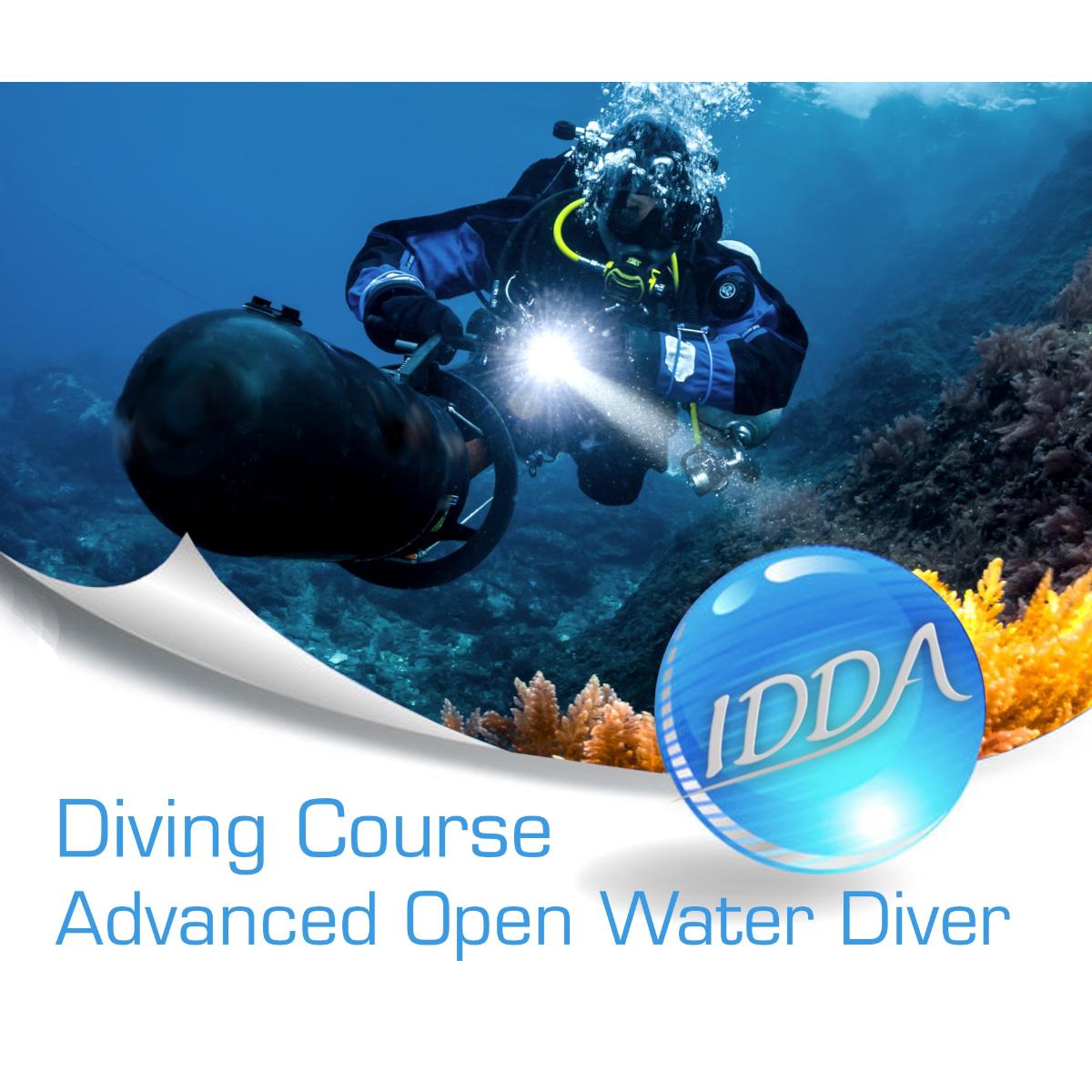 IDDA Dive College Tauchschule Hippo-Diving in Chemnitz - Logo