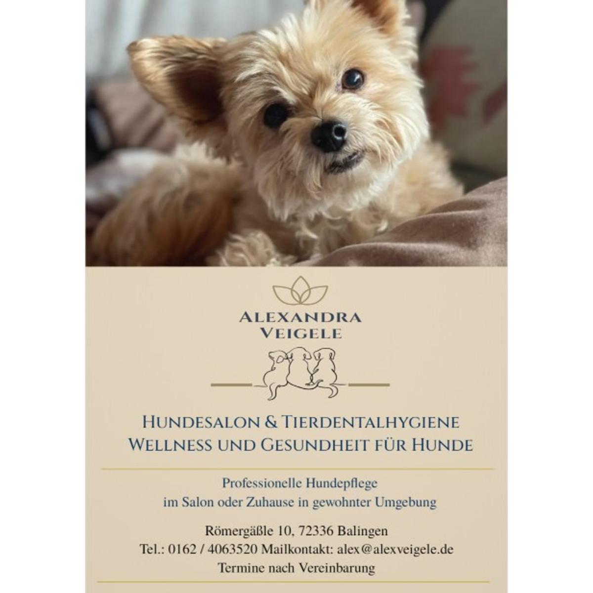 Hundesalon Alexandra Veigele Hundefriseurin + Wellness für Hunde in Balingen - Logo