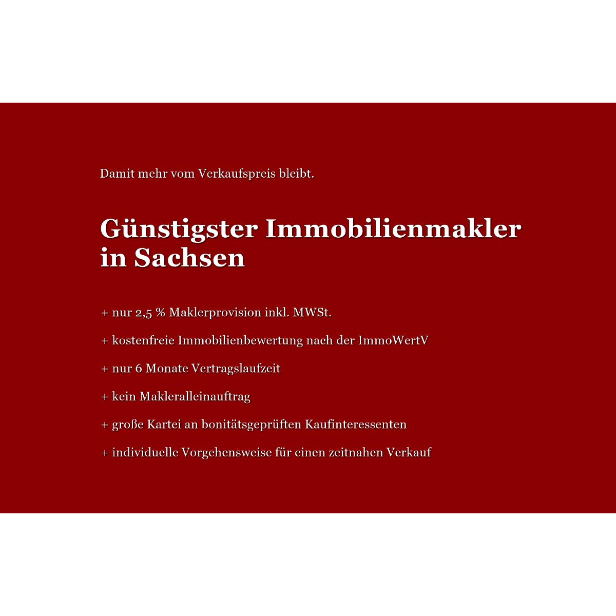 schmalfuss & partner IMMOBILIEN in Chemnitz - Logo