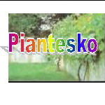 Piantesko-Naturversand in Bad Schönborn - Logo