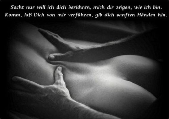 Tantra & Wellness ° Massage Service Berlin in Berlin - Logo