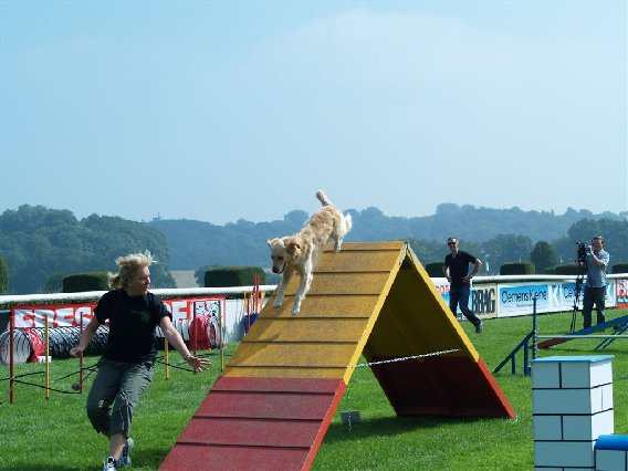 Hundeschule DogMan-Relation 