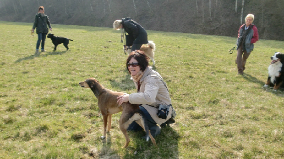 Hundeschule MS in Gahmen Stadt Lünen - Logo