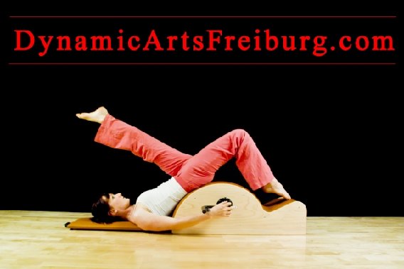 Dynamic Arts GbR in Freiburg im Breisgau - Logo