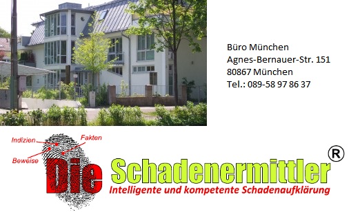 Die Schadenermittler GmbH in München - Logo