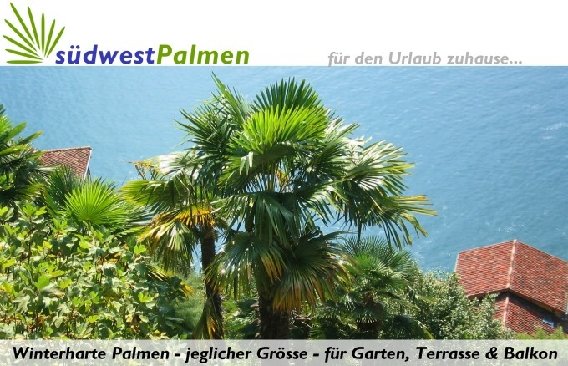 Südwestpalmen GbR in Tübingen - Logo