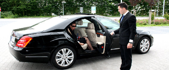 Fermel Elite Chauffeur Service in Egelsbach - Logo