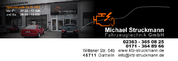 KFZ Werkstatt Michael Struckmann Fahrzeugtechnik GmbH in Datteln - Logo