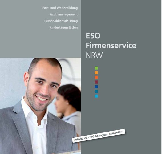 Firmenservice Essen in Essen - Logo