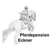 Pferdepension Eckner in Meuselwitz in Thüringen - Logo