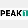 PEAK1 Marketing und Consulting Agentur GbR in Köln - Logo