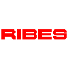 Ribes Kunststofftechnik GmbH in Hildesheim - Logo