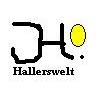 Hallerswelt Top in DSL und Versicherung in Remshalden - Logo