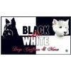 Annenallee 1 Hunde und Katzensalon BLACK & WHITE Dogs Coiffeur and More in Berlin - Logo