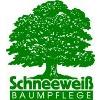Ingo Schneeweiß Baumpflege in Kleinmachnow - Logo