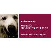 Hundephysiotherapie Köln Hundebehandlung in Köln - Logo