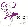 Salon Schüler in Saarlouis - Logo