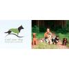 Hundepension / Hundeschule - lead your dog / Simon Menhard in Ried bei Mering in Schwaben - Logo