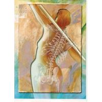 Praxis für Osteopathie in Selters im Taunus - Logo