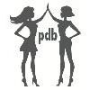 pdb-piadobrasil in Nürnberg - Logo