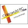 Odenwald PC in Erbach im Odenwald - Logo