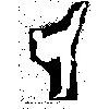 Taekwondo Center Wuppertal e.V. in Wuppertal - Logo