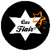 Car Flair® in Bochum - Logo