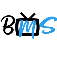 Braun Media Solutions in Augsburg - Logo