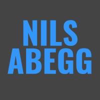 Shopware Freelancer Nils Abegg in Bruchsal - Logo