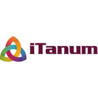 iTanum IT OHG in Pirna - Logo