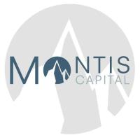 Montis Capital GmbH in Frankfurt am Main - Logo