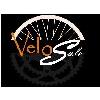 Velo Sule in Gottmadingen - Logo