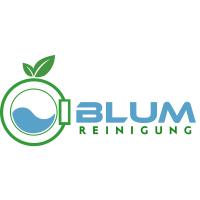 Blum Reinigung in Erlangen - Logo