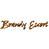 Brandy - Edel Escort und Callgirl Nürnberg - Leipzig in Nürnberg - Logo