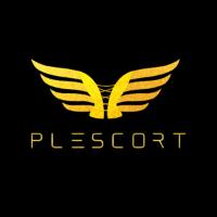 Plescort in Frankfurt am Main - Logo