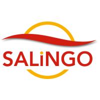 SALiNGO GmbH in Nürnberg - Logo