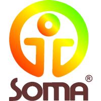 SOMA-Institut-Europa in Bad Soden am Taunus - Logo