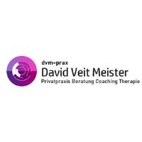dvm-prax Psychologische Beratung Coaching Therapie in Düsseldorf - Logo