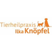 Tierheilpraxis Ilka Knöpfel in Dietmannsried - Logo